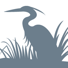 Heron-wikipedia