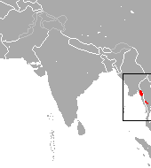 Kitti's Hog-nosed Bat area.png