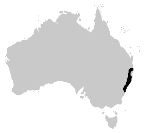 Lechriodus fletcheri distribution map.png