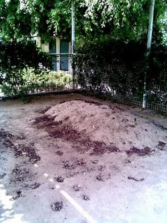 Grave maududi