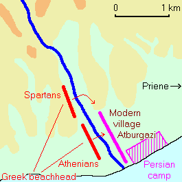 Mycale3 map