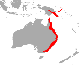 Smaller Horseshoe Bat area.png