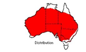 Distribution map.jpg