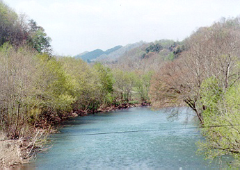 Clinch River.jpg