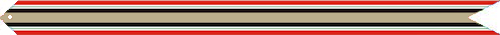 Iraq Campaign Ribbon.png