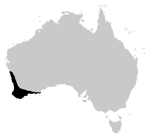 Litoria adelaidensis distrib.PNG