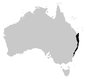 Litoria freycineti range.PNG