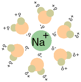 Na+H2O