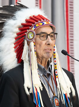 Littlechild wearing his honorary chief headdress