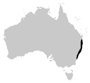 Litoria Tyleri range.PNG