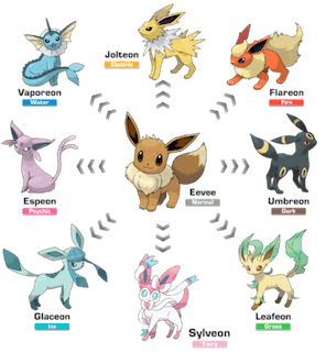 Pokémon Eeveelutions