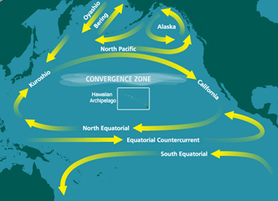 North Pacific Subtropical Convergence Zone