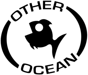 Other Ocean Interactive logo.png