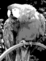 Parrot EGA monochrome palette