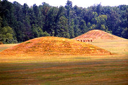 Pharr Mounds.jpg