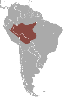 Peruvian Spider Monkey area.png