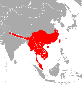 Great Roundleaf Bat area.png