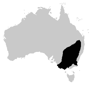 Neobatrachus sudelli distrib.png