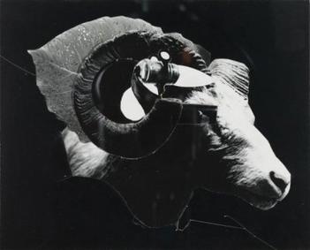 Untitled by Jay DeFeo, 1973, Honolulu Museum of Art TCM.1998.5.1