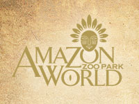 Amazon world logo.jpg