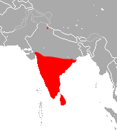 Schneider's Leaf-nosed Bat area.png