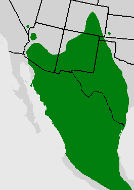 Curve-billed Thrasher range map.gif