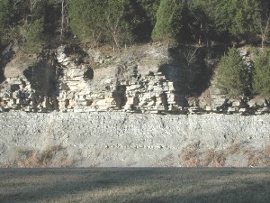 Limestoneshale7342