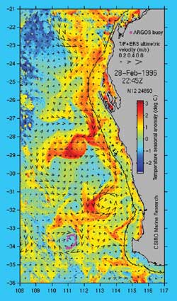 Leeuwin current 2