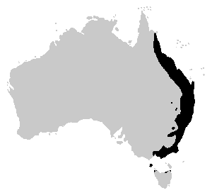 Limnodynastes peronii distribution.PNG