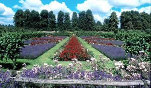 Flag Gardenaat Penshurst Place & Gardens (c) Penshurst Place