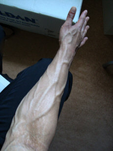 Veins.jpg