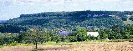 Niagara-Escarpment-Rattlesnake