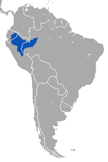 Silvery Woolly Monkey area.png