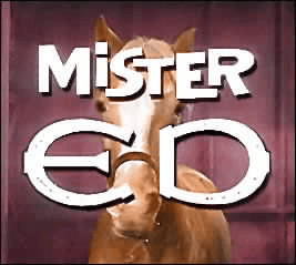 Mister Ed.png