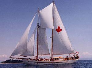 Ml-full-sail