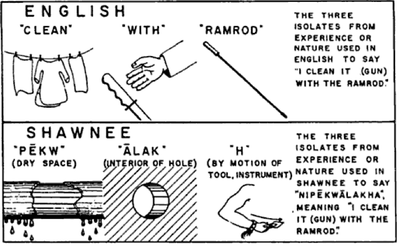 Whorf Shawnee Example