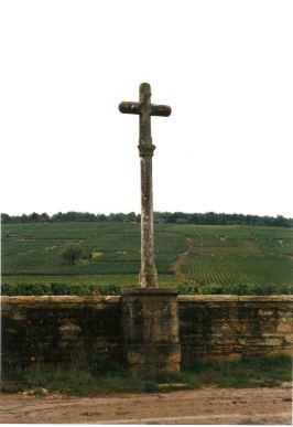 Romanée-Conti - vinhedo - R