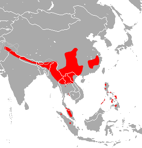 Big-eared Horseshoe Bat area.png