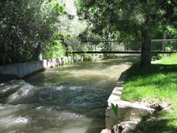 Big Cottonwood Creek.jpg