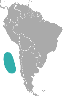 Juan Fernandez Fur Seal area.png