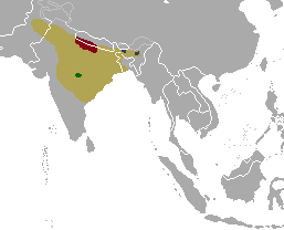 Rucervus duvaucelii range map.png