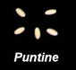 Puntine.jpg