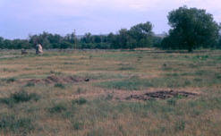 Fort Pierre Chouteau Site.jpg