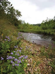 Little Niangua River, Fiery Fork.jpg