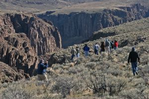 Big Jacks Creek Wilderness.jpg