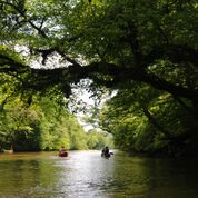 Flat water on the Locust 