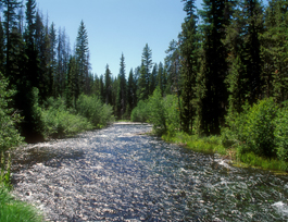 Crescent Creek, Klamath County, OR.jpg