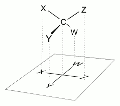 Fischer projection