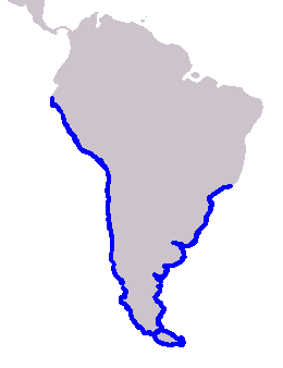 Cetacea range map Burmeister's Porpoise.PNG