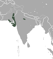 Indian Long-eared Hedgehog area.png